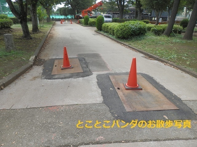 世界一可哀そうな蒸気機関車D51の解体作業が始まる: とことこ