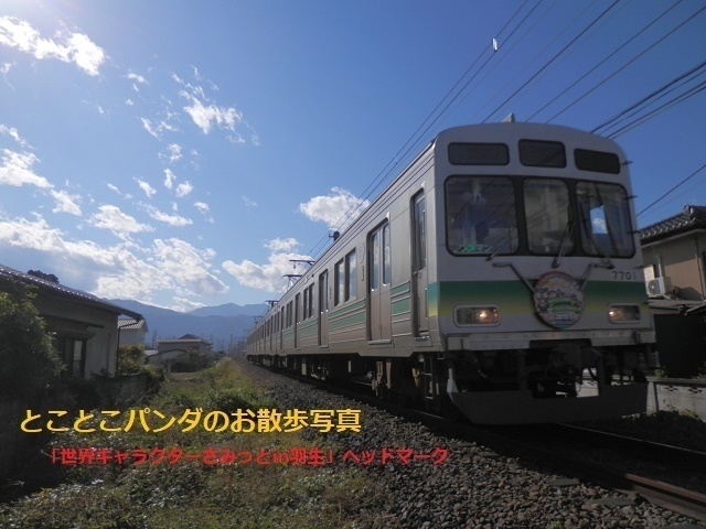 秩父鉄道 ヘッドマーク祭り状態、SLパレオエクスプレス 2019年