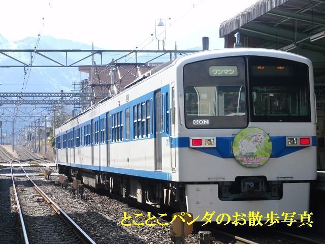 秩父鉄道6000系6002「あの花」ヘッドマーク: とことこパンダのお